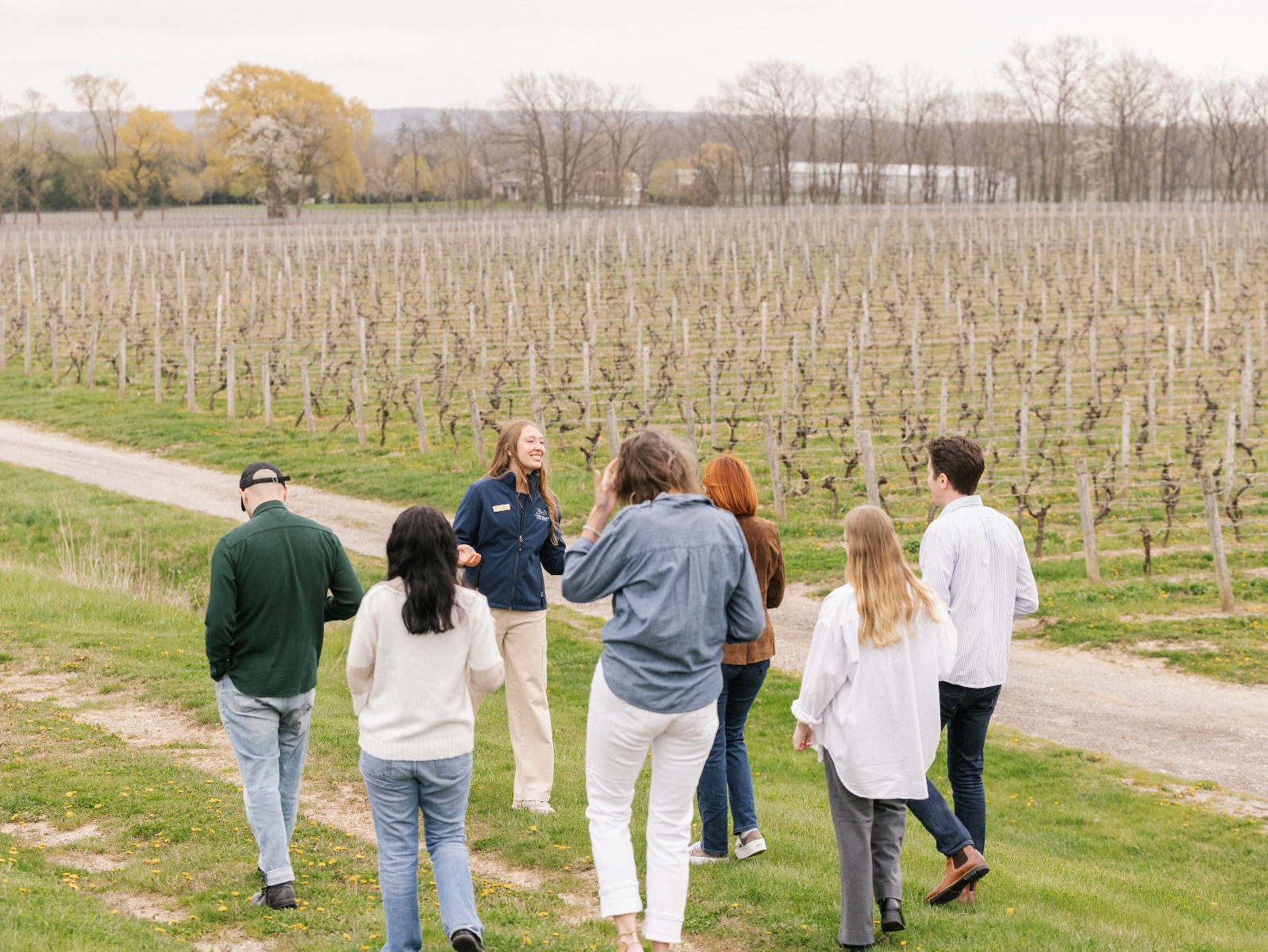 The Organic Vineyard Stroll