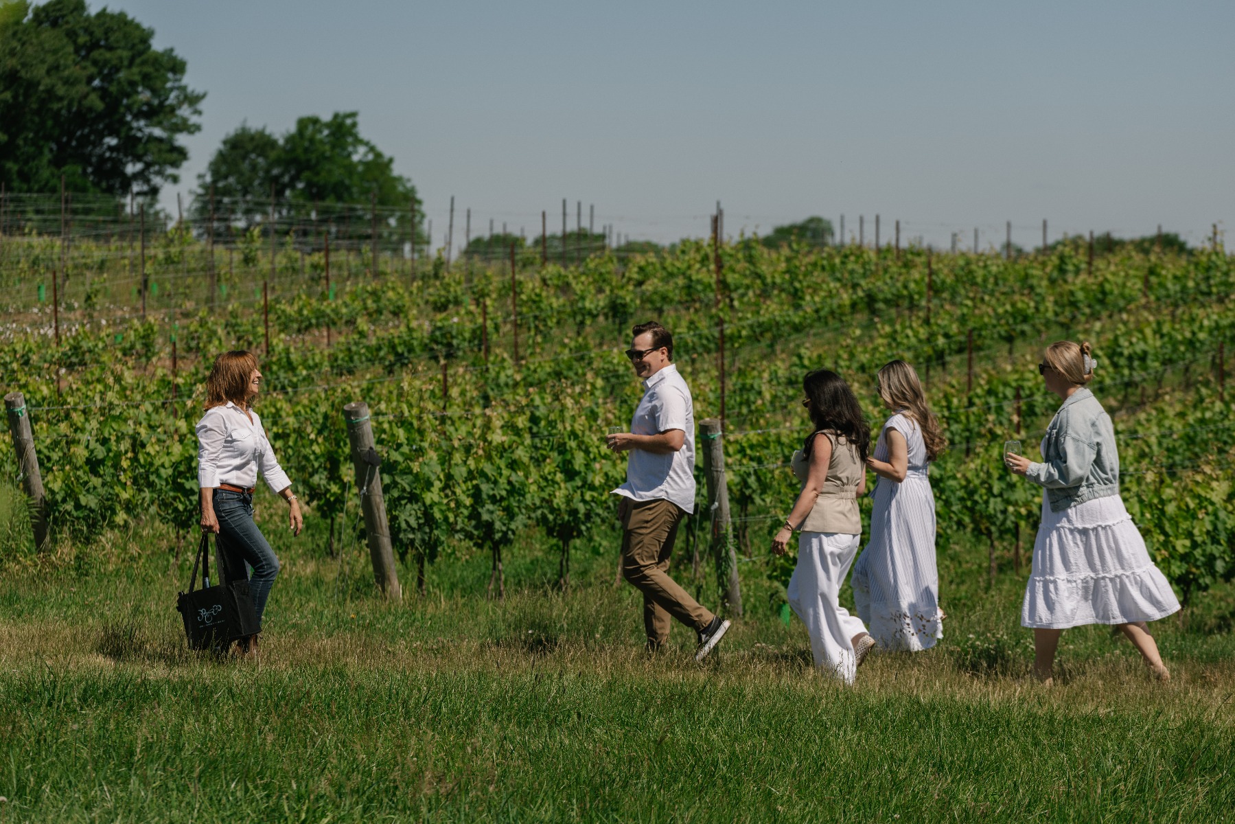The Organic Vineyard Stroll